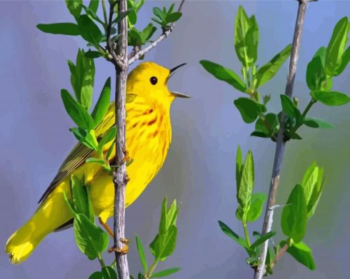 Yellow Warbler Bird Singing Diamond Painting