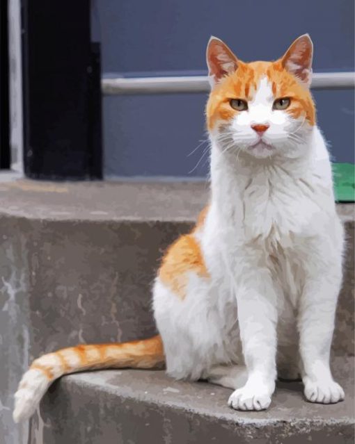 Adorable Orange And White Cat Diamond Painting