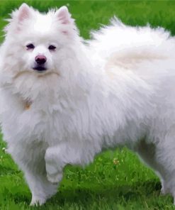 Aesthetic American Eskimo Diamond Painting