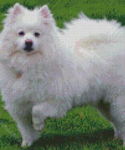 Aesthetic American Eskimo Diamond Painting