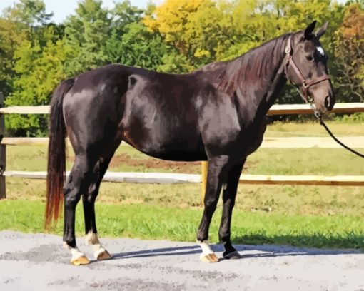 Aesthetic Dark Brown Horse Diamond Painting