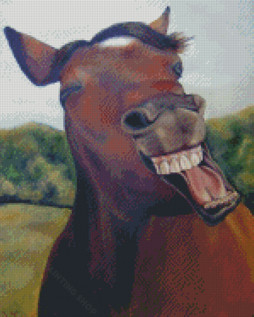 Laughing Horse Diamond Painting