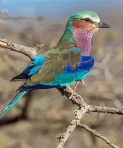 Lilac Breasted Roller Diamond Painting