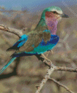 Lilac Breasted Roller Diamond Painting