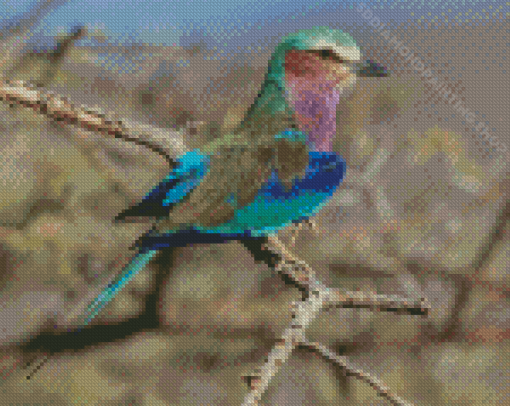 Lilac Breasted Roller Diamond Painting