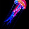 Aesthetic Neon Jellyfish Diamond Painting