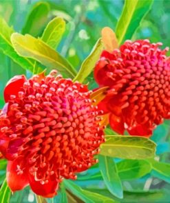 Aesthetic Waratah Diamond Painting