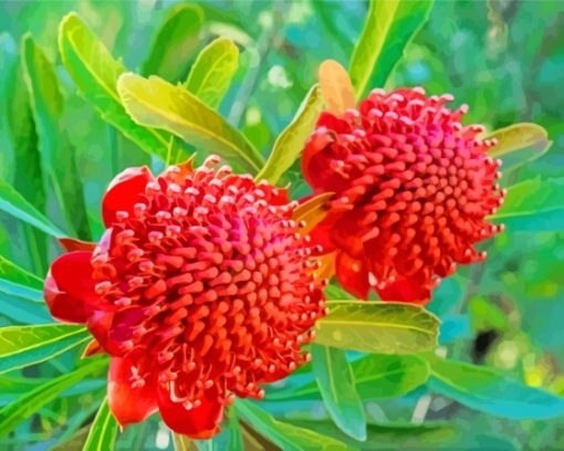 Aesthetic Waratah Diamond Painting