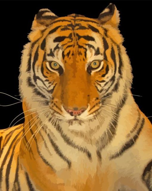 Aesthetic Bengal Tiger Diamond Painting