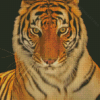 Aesthetic Bengal Tiger Diamond Painting