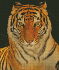 Aesthetic Bengal Tiger Diamond Painting