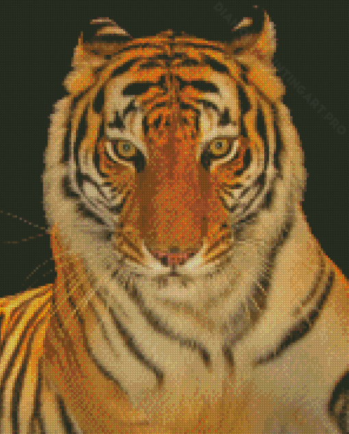 Aesthetic Bengal Tiger Diamond Painting