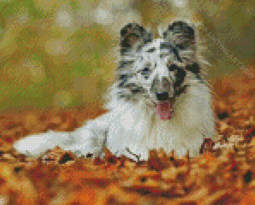 Aesthetic Blue Merle Dog Diamond Painting