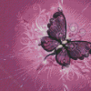 Aesthetic Purple Butterfly Diamond Painting