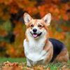 Aesthetic Welsh Corgi Dog Diamond Painting