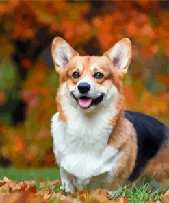 Aesthetic Welsh Corgi Dog Diamond Painting