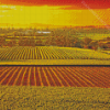 Barossa Valley Vienyards At Sunset Diamond Painting