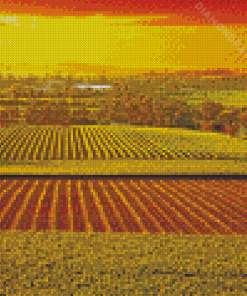 Barossa Valley Vienyards At Sunset Diamond Painting