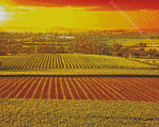 Barossa Valley Vienyards At Sunset Diamond Painting