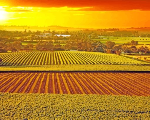 Barossa Valley Vienyards At Sunset Diamond Painting