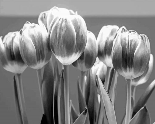 Black And White Tulip Flowers Diamond Painting