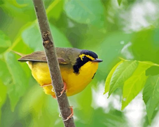 Kentucky Warbler Diamond Painting