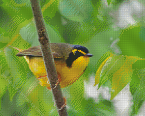 Kentucky Warbler Diamond Painting