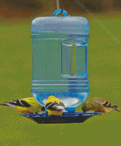 Drink And Yellow Birds Diamond Painting