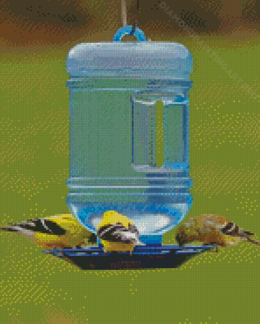 Drink And Yellow Birds Diamond Painting