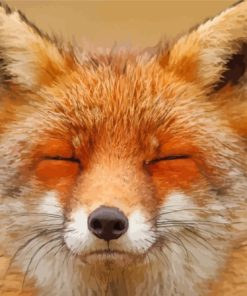 Face Orange Fox Diamond Painting