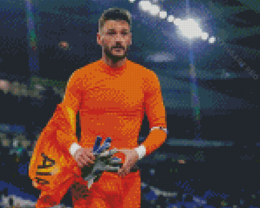 Goalkeeper Hugo Lloris Diamond Painting