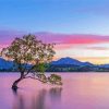 Lake Wanaka Pink Clouds View Diamond Painting