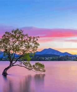 Lake Wanaka Pink Clouds View Diamond Painting