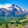 Pacific Crest Trail National Park Nature Scene Diamond Painting