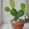 Prickly Pear Houseplant Diamond Painting