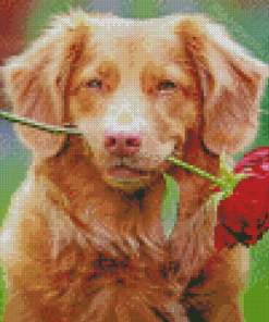 Puppy With Rose Diamond Painting