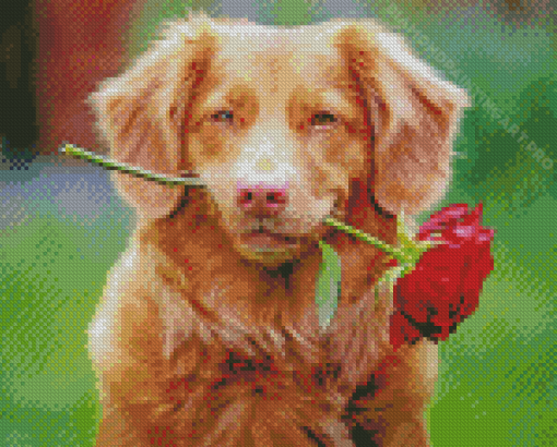 Puppy With Rose Diamond Painting