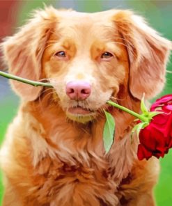 Puppy With Rose Diamond Painting