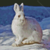 Rabbit Animal In Snow Diamond Painting