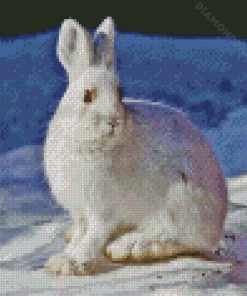 Rabbit Animal In Snow Diamond Painting