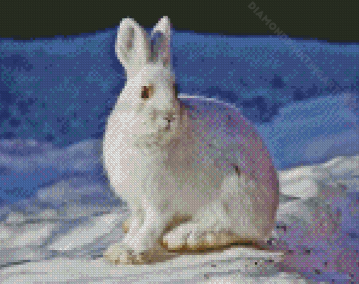 Rabbit Animal In Snow Diamond Painting