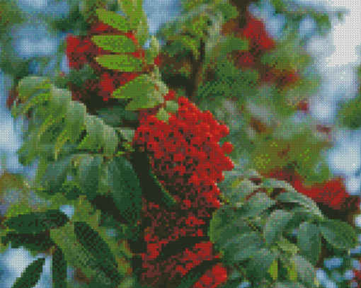 Rowan Berries Diamond Painting