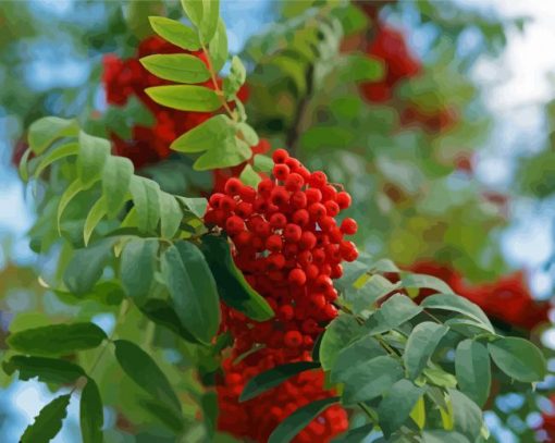 Rowan Berries Diamond Painting