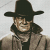 True Grit Character Diamond Painting