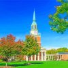 Wake Forest University Building Diamond Painting