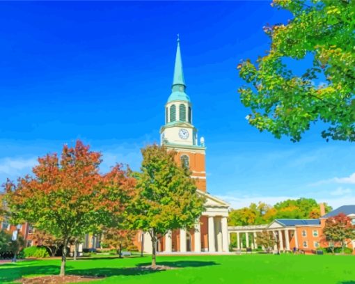 Wake Forest University Building Diamond Painting