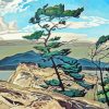 White Pine Casson Diamond Painting