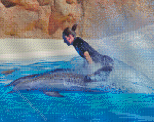 Woman And Dolphins Diamond Painting