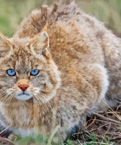 Mountain Cat Diamond Painting