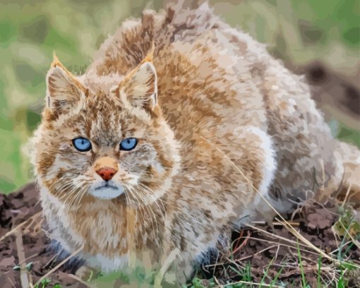 Mountain Cat Diamond Painting